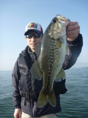 truth news ブログ写真 2012/04/29