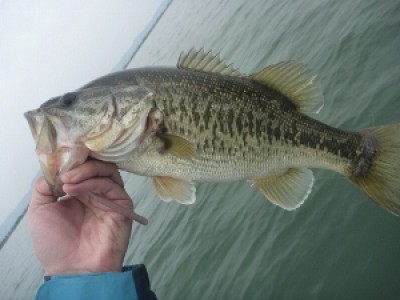 truth news ブログ写真 2012/04/29