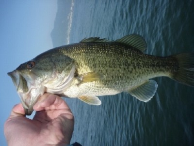 truth news ブログ写真 2012/04/29