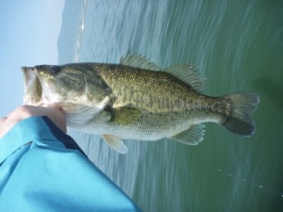 truth news ブログ写真 2012/04/29