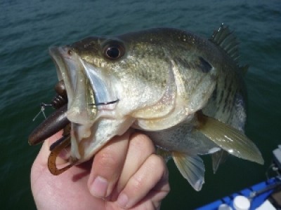 truth news ブログ写真 2012/04/29