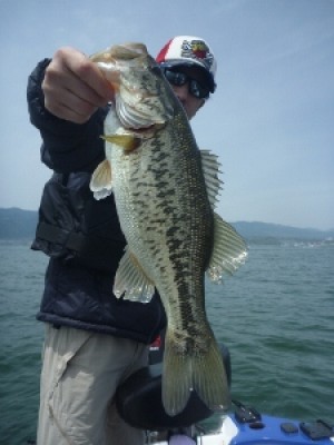 truth news ブログ写真 2012/04/29