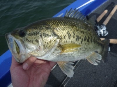 truth news ブログ写真 2012/04/29