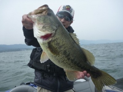 truth news ブログ写真 2012/04/29