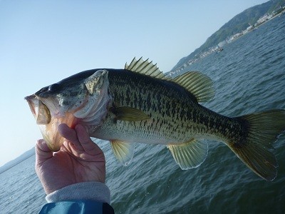 truth news ブログ写真 2012/05/05