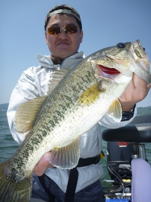 truth news ブログ写真 2012/05/05