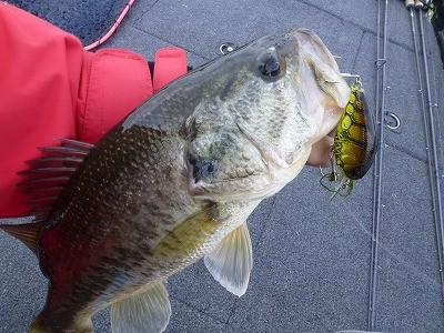 truth news ブログ写真 2012/05/11