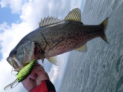 truth news ブログ写真 2012/05/11