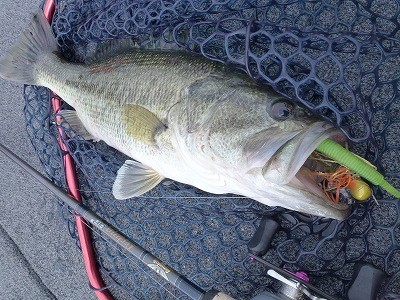 truth news ブログ写真 2012/05/11