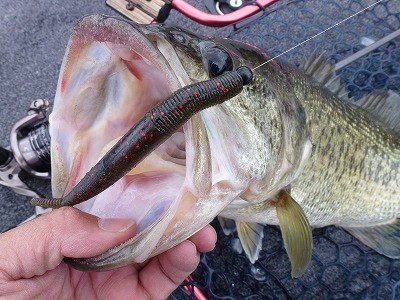 truth news ブログ写真 2012/05/11