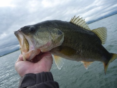 truth news ブログ写真 2012/05/12