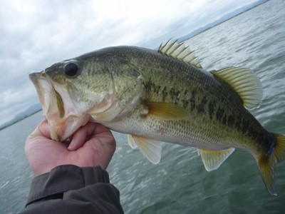 truth news ブログ写真 2012/05/12