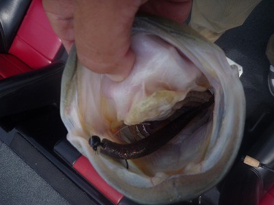 truth news ブログ写真 2012/05/15