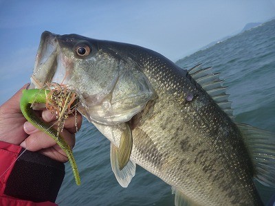 truth news ブログ写真 2012/05/15