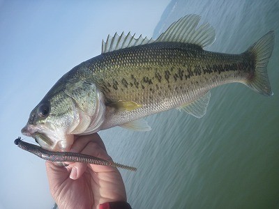 truth news ブログ写真 2012/05/15