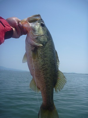 truth news ブログ写真 2012/05/15