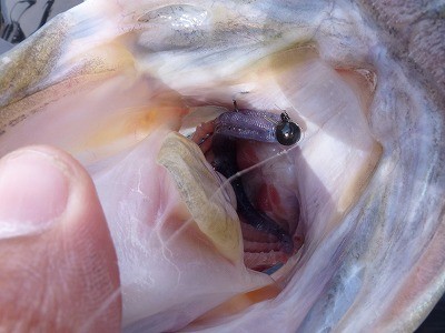 truth news ブログ写真 2012/05/18