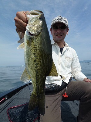 truth news ブログ写真 2012/05/20