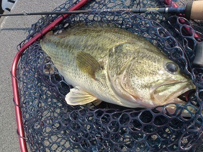 truth news ブログ写真 2012/05/20