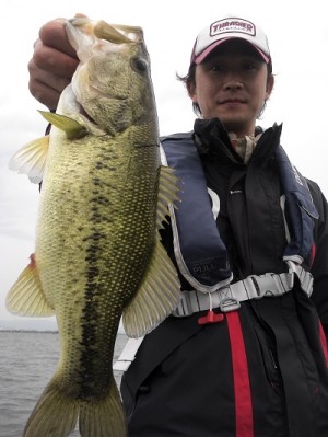 truth news ブログ写真 2012/05/20