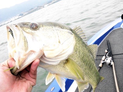 truth news ブログ写真 2012/05/20