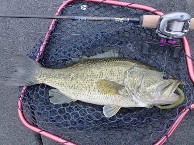 truth news ブログ写真 2012/05/21