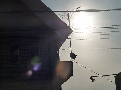 truth news ブログ写真 2012/05/21