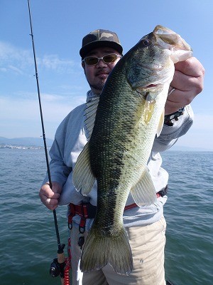 truth news ブログ写真 2012/05/21