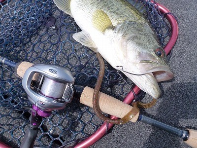 truth news ブログ写真 2012/05/21