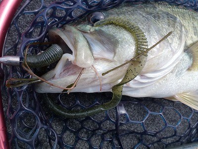 truth news ブログ写真 2012/05/21