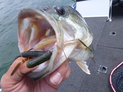 truth news ブログ写真 2012/05/21