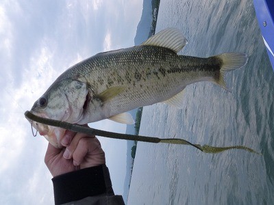 truth news ブログ写真 2012/05/21