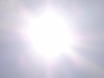 truth news ブログ写真 2012/05/21