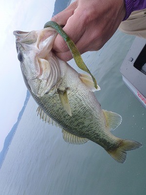 truth news ブログ写真 2012/05/24