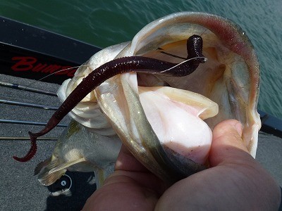 truth news ブログ写真 2012/05/24