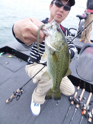 truth news ブログ写真 2012/05/24