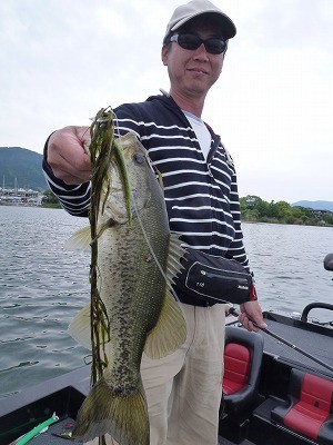 truth news ブログ写真 2012/05/24