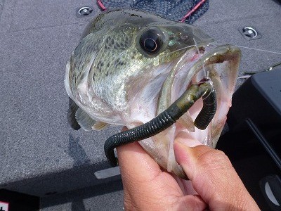 truth news ブログ写真 2012/05/25