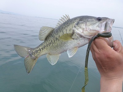 truth news ブログ写真 2012/05/25