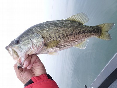 truth news ブログ写真 2012/05/26