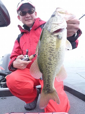 truth news ブログ写真 2012/05/26