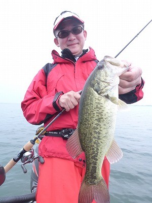 truth news ブログ写真 2012/05/26