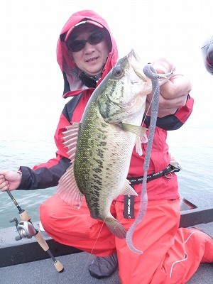 truth news ブログ写真 2012/05/26