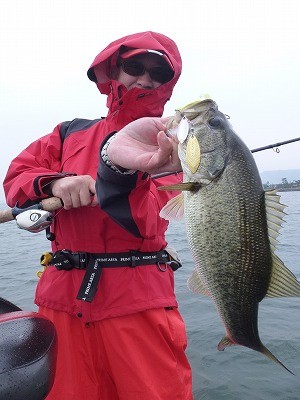 truth news ブログ写真 2012/05/26