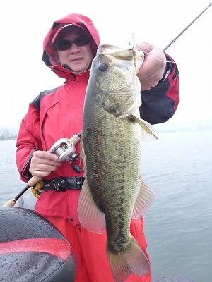 truth news ブログ写真 2012/05/26