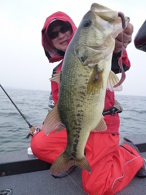 truth news ブログ写真 2012/05/26