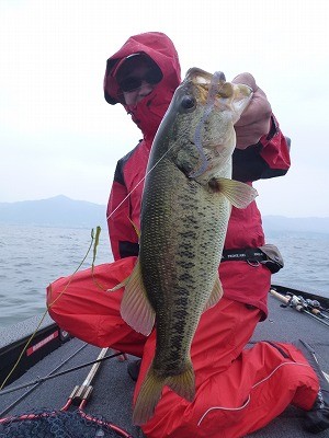 truth news ブログ写真 2012/05/26