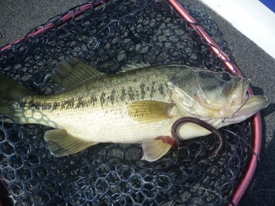 truth news ブログ写真 2012/05/27