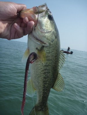 truth news ブログ写真 2012/05/27