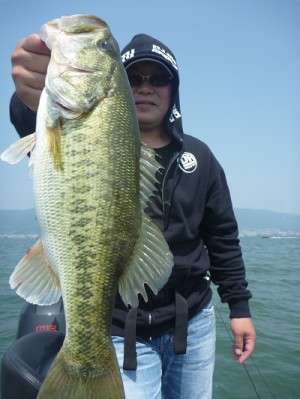 truth news ブログ写真 2012/05/27